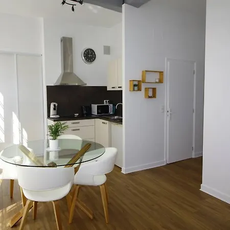 Quartier Historique Du Chateau Bel Appt Meuble * Pau