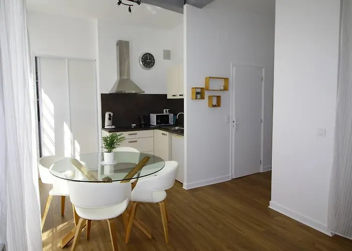 Quartier Historique Du Chateau Bel Appt Meuble * Pau