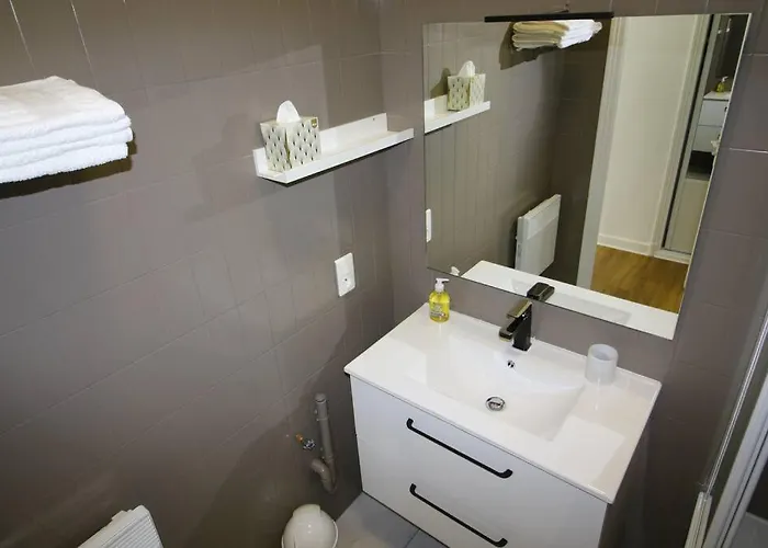 Quartier Historique Du Chateau Bel Appt Meuble